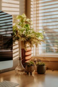 resized_13_api