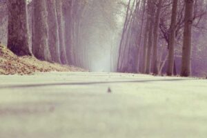 resized_21_fallback