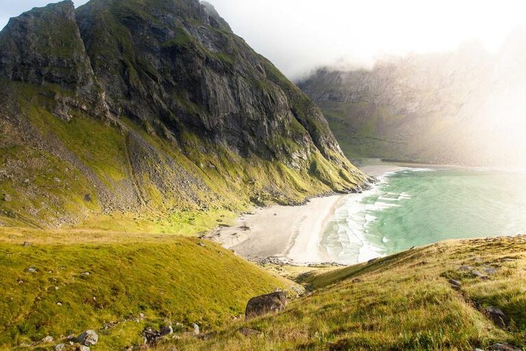 resized_39_fallback
